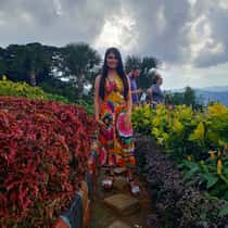 mary ann