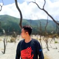 Aprizal Fauzi