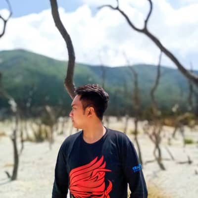 Aprizal Fauzi