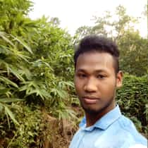 Mitu