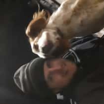 Dave