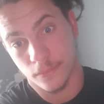 dylan