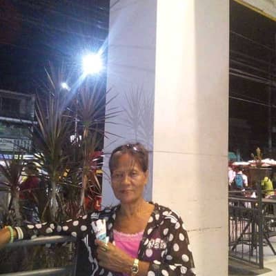 ginilen villigas
