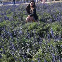Nhie