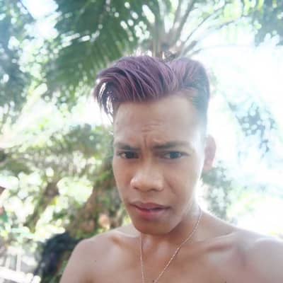 fery