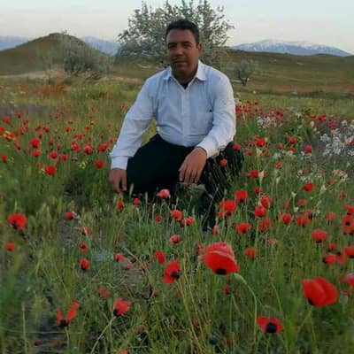 seyyedsafar