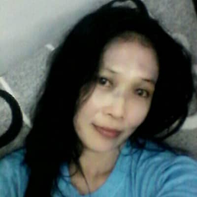SUSI.boxs