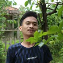 Ajis