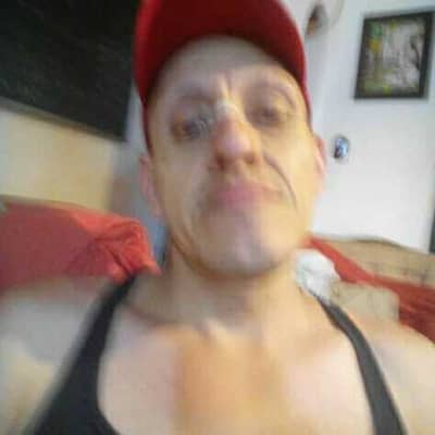 cesargato66