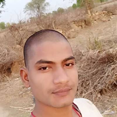 Neelesh ray