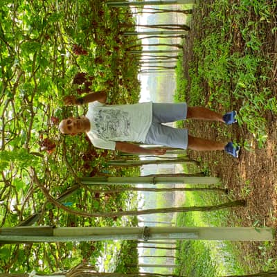 Mansoor