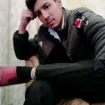 bhola