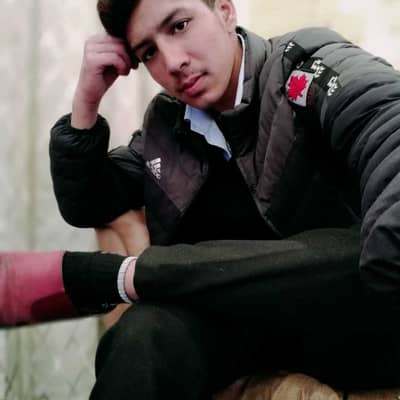 bhola