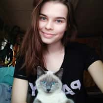 merdi