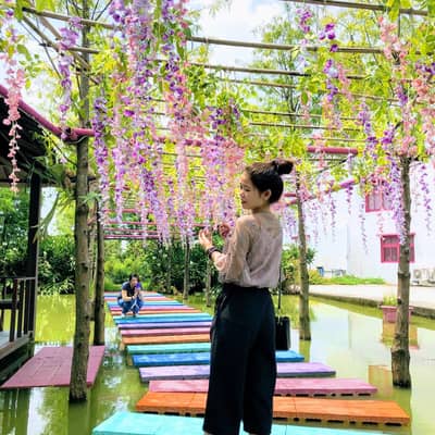 Gấu