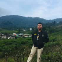 Herdy S