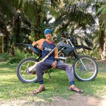 Hamdi