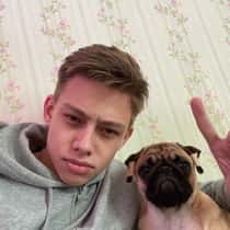 Alexandr