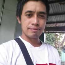 alexander