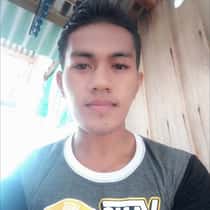 regenald john palma