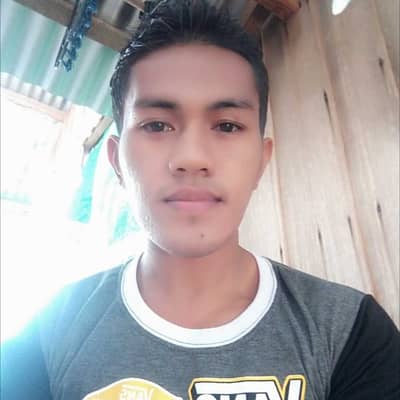 regenald john palma
