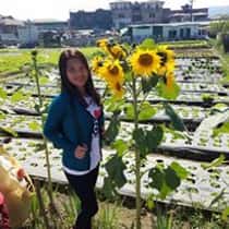 ailyn constantino