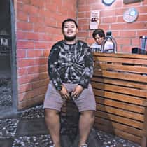 Aditya dominic
