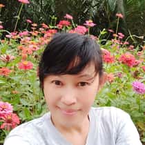 Mawar