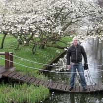 walcot