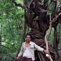 yan naung aye