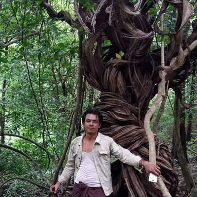 yan naung aye