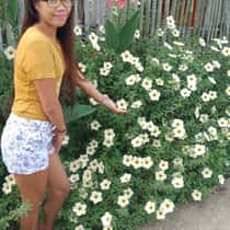 jeany