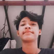 ervin