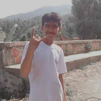 aul