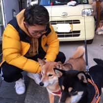 kaji