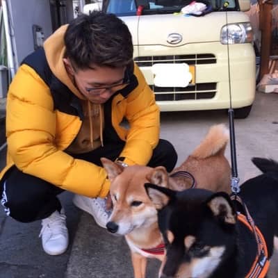 kaji