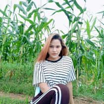 Cassie