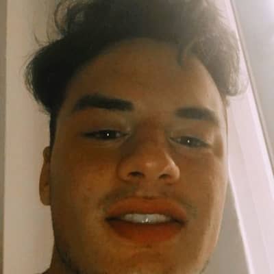 dardyboy