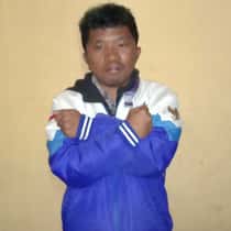 reno persib