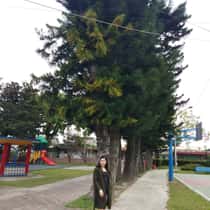 Ghieghie