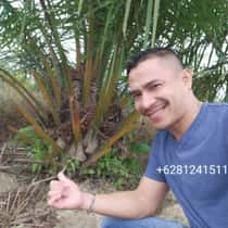 Jefri gilberto