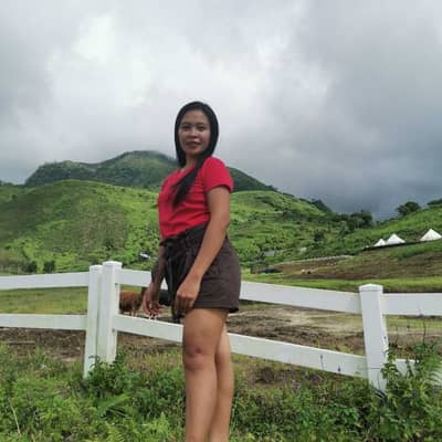 Daylin24