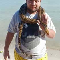 Ahmed
