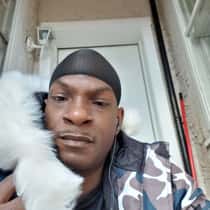 Sylvester