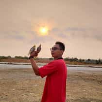 Haris