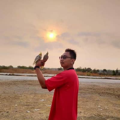 Haris