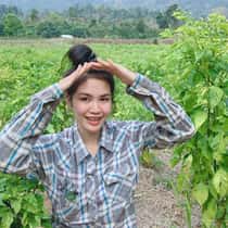 Mide