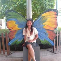 chrisjoy