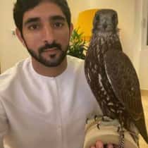 sheikh hamdan