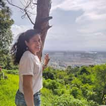 Bebing40